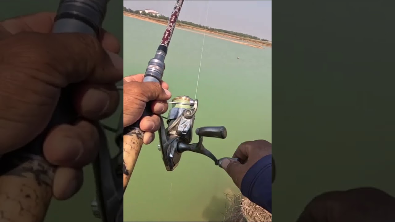 Fishing Hampala at the Natural pond