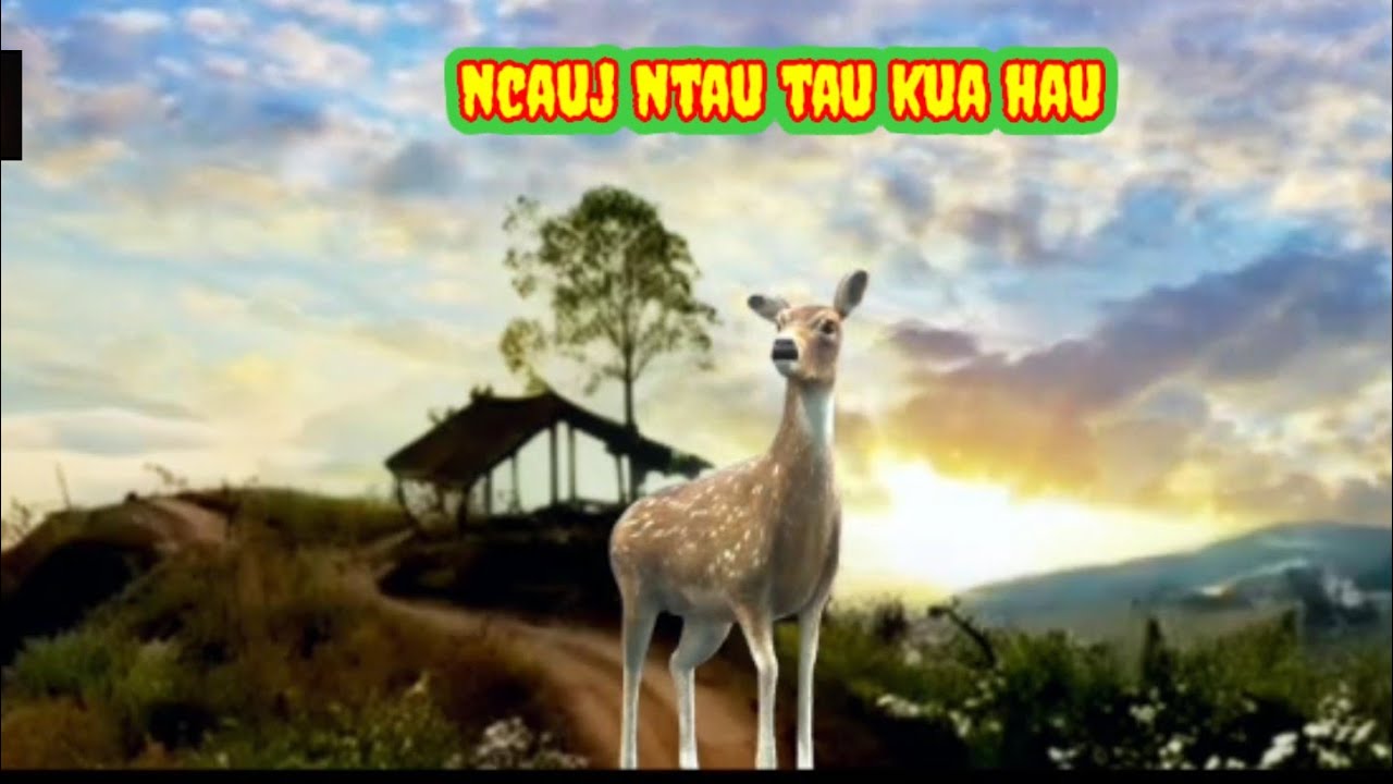 Ncauj ntau tau kua hau 18/3/2025