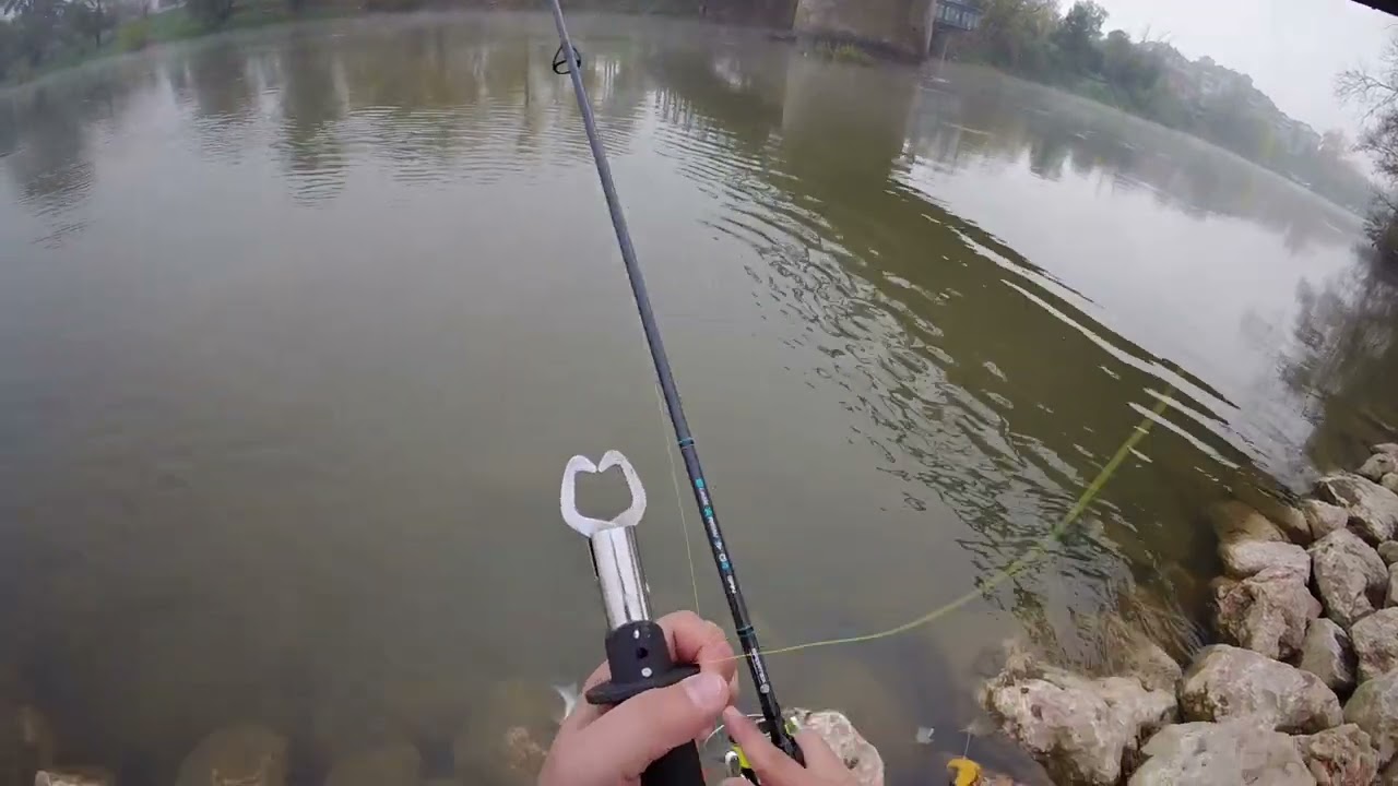 Maglovito jutro i Bucovi na Zapadnoj Moravi ☁️🐟
