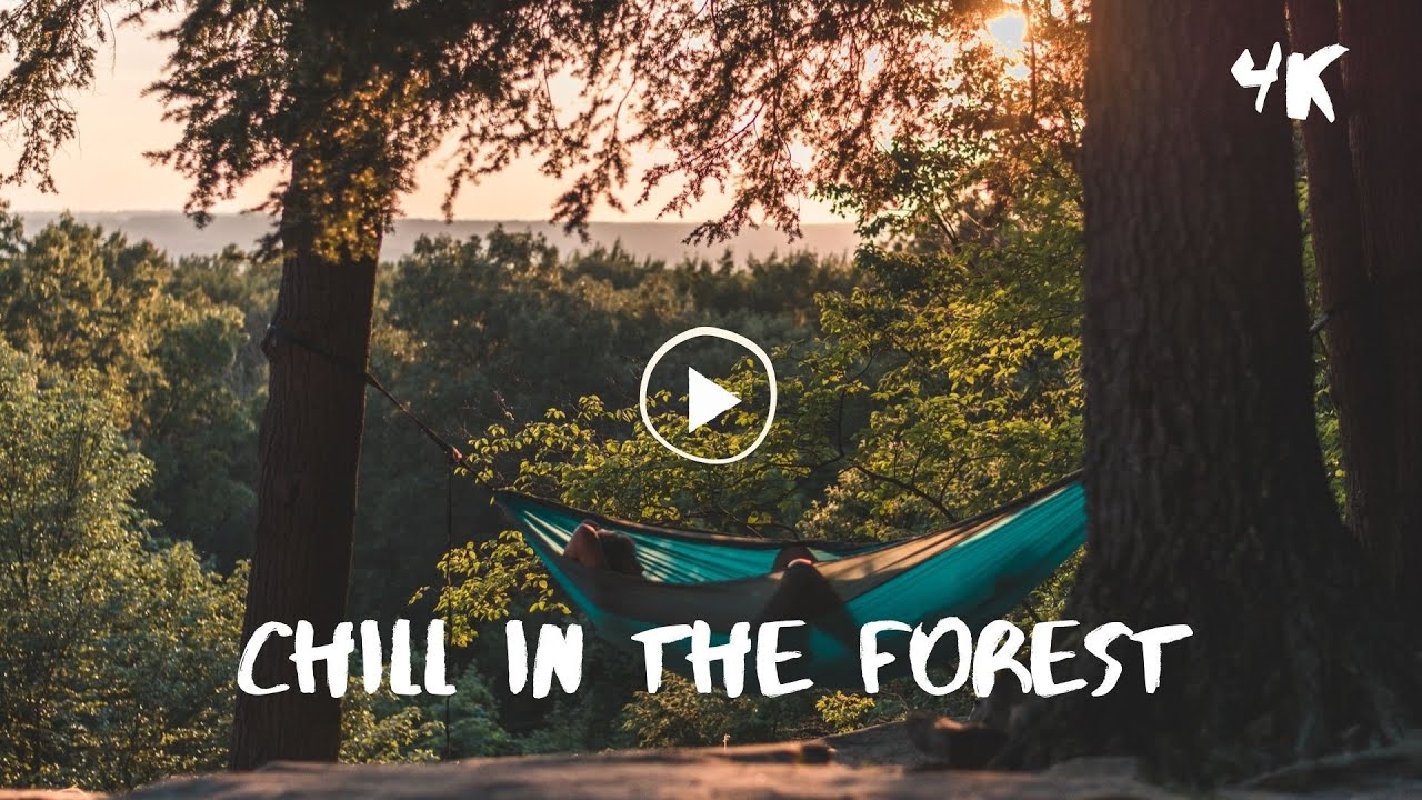 Calm Ambient Relaxing Background Music | Music for work, study, sleep | Chill in the forest 4K