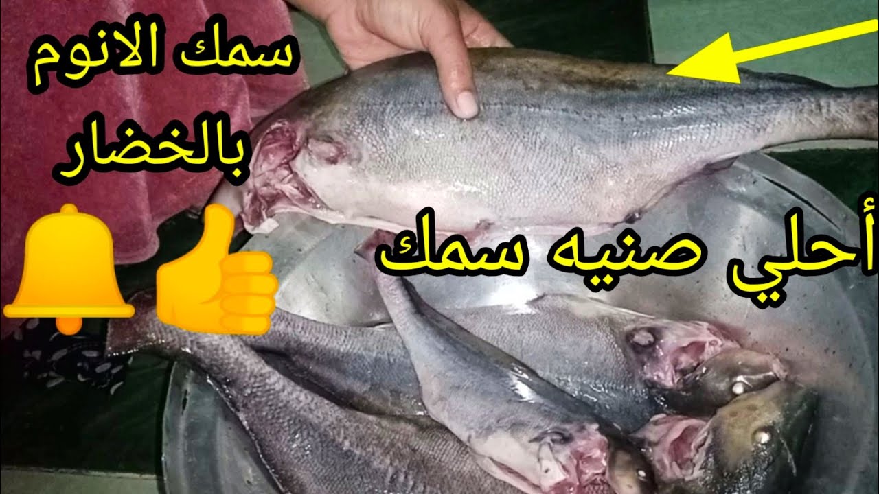 إزاي تعملي سمك الأنوم