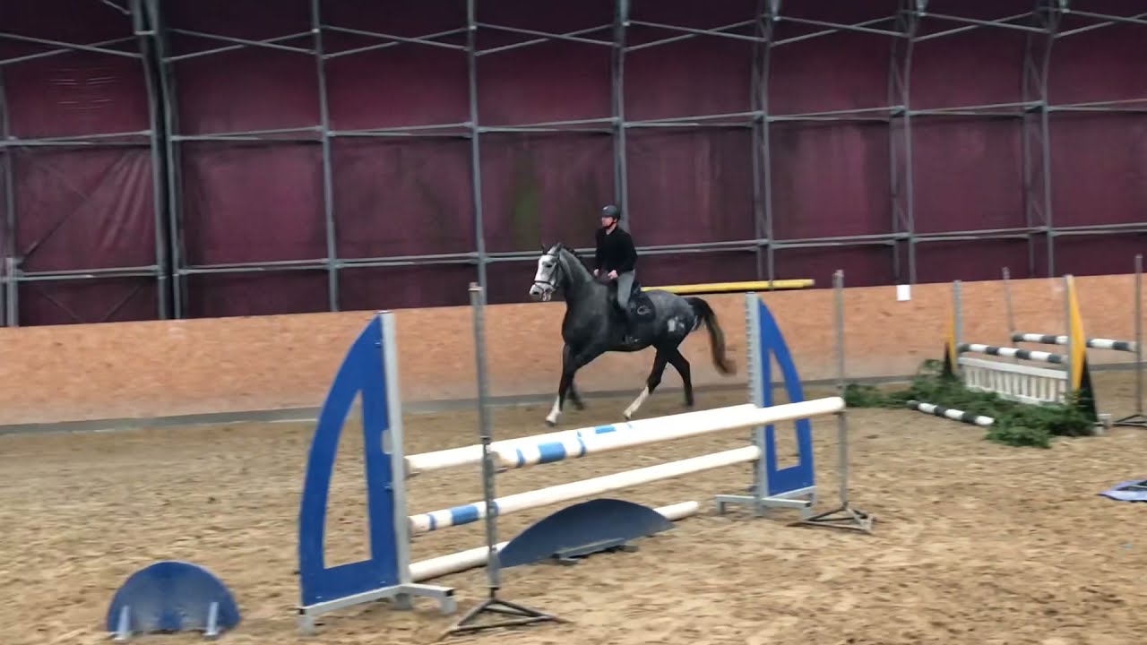 Top hunter prospect - jumping