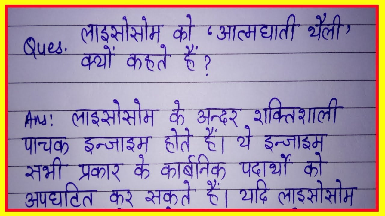 लाइसोसोम को आत्मघाती थैली क्यों कहते हैं/lysosome ko aatmghati thaili kyon kahate hain