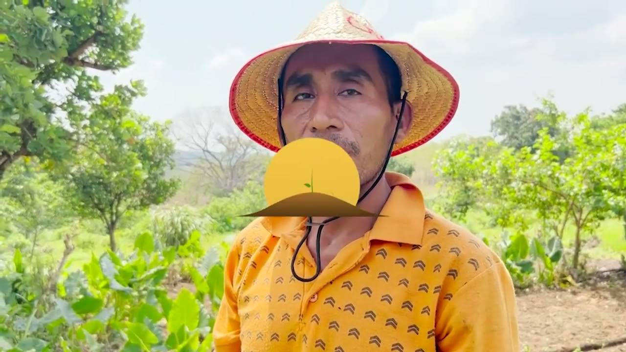 SIEMBRA DE CEBOLLIN - HECHOS DEL AGRO