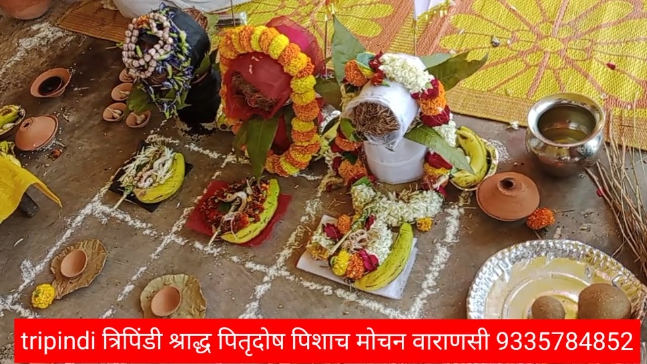 #tripindi #pitra_dosh #त्रिपिंडी #पितृदोष वाराणसी बनारस 9335784852