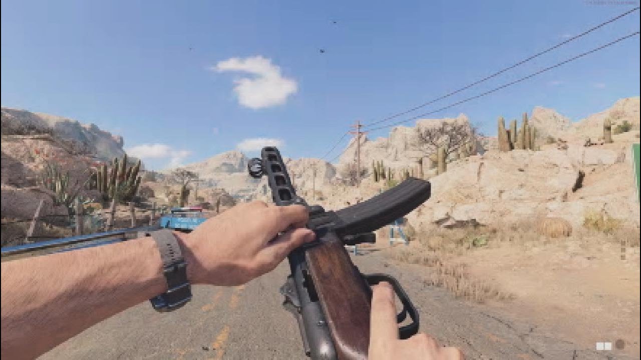 Black Ops Cold War - PPSh-41 and K31 Animations