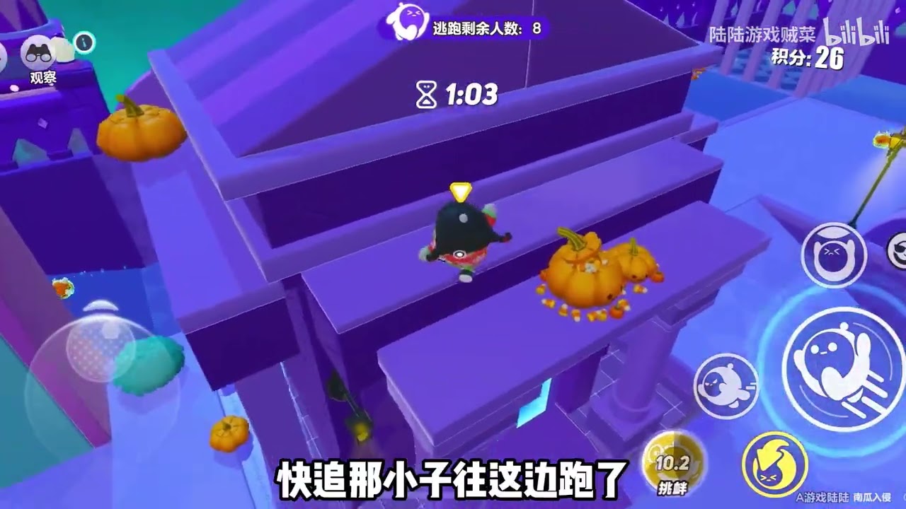 陆陆日常遛瓜老大