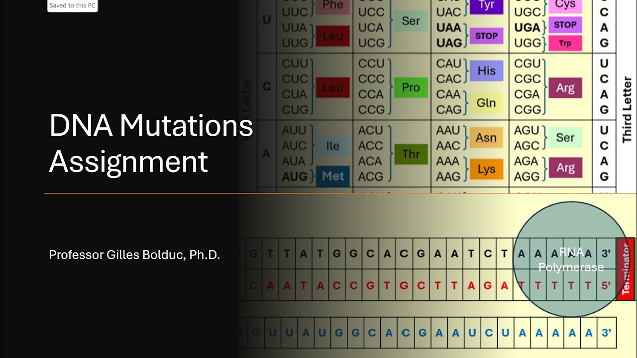 DNA mutation assignment (Biology)