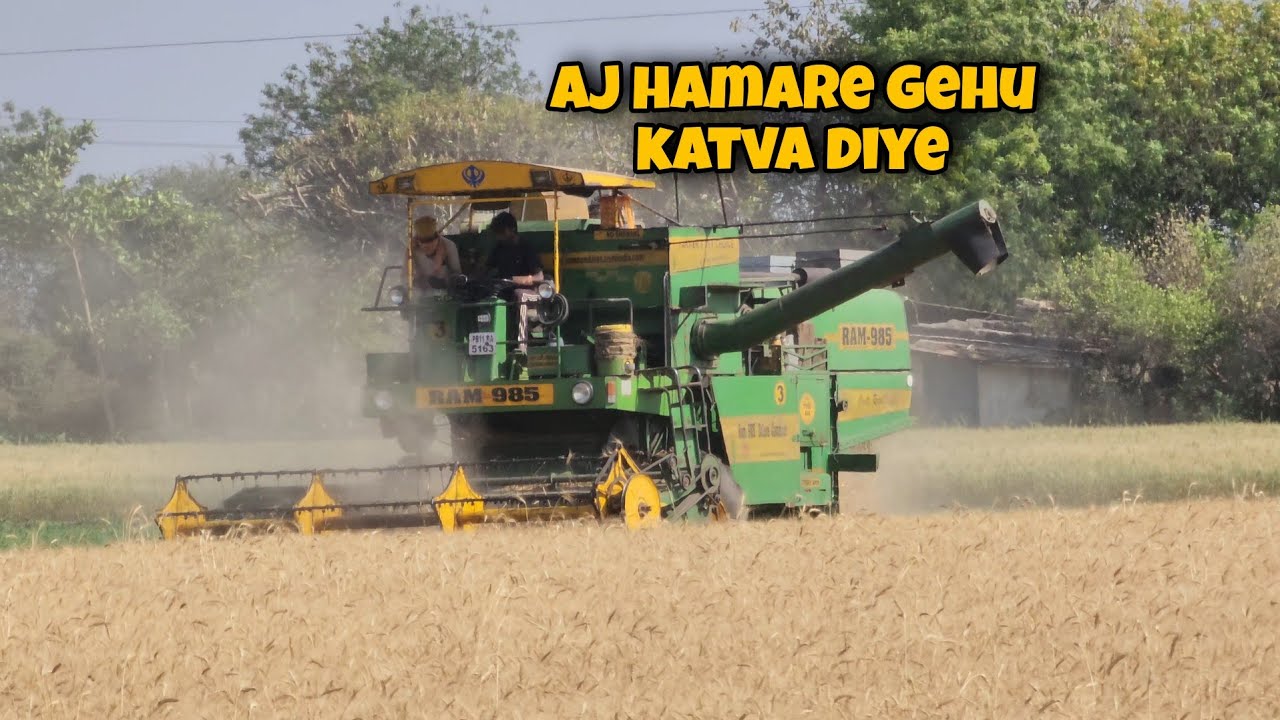 aj hamare gehu katva diye 🌾🌾 | my new vlog | anuj shani vlogs 