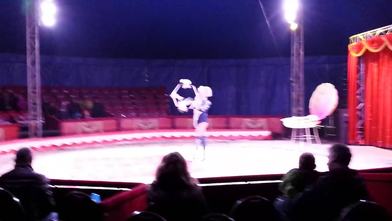 Cirkus Prince