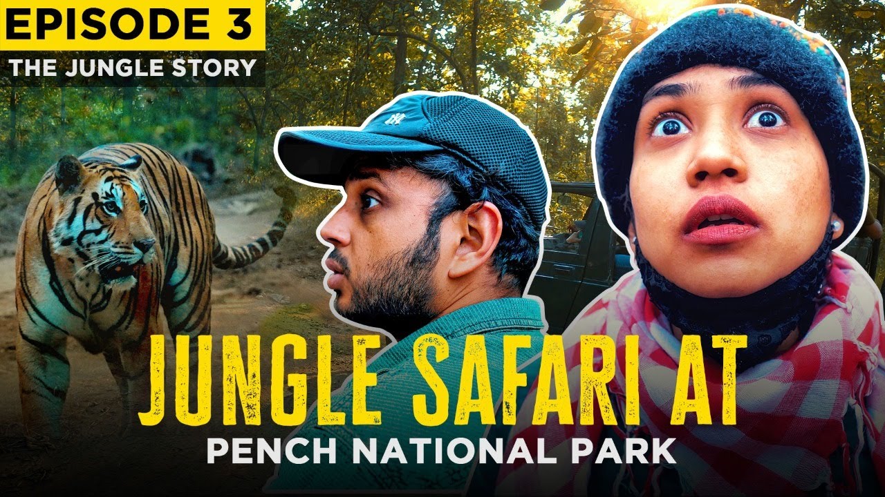 Jungle Safari At Pench National Park |Episode 3 | The Jungle Story |@VaisshnaviiNaik