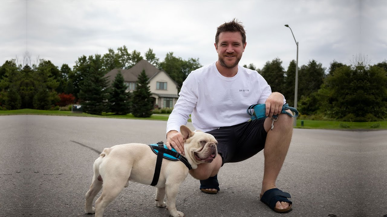 Ontario French Bulldog Stud Service: Meet Astro - Our Charming Lilac Platinum Stud