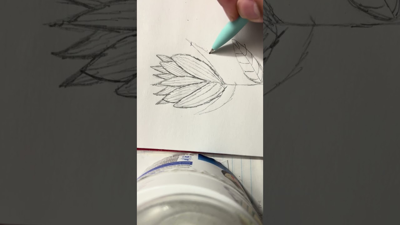 FIRST DRAWING | A LONE FLOWER IN THE FIELD WITH BIRDS IN THE SKY | Art with Yashasvi28