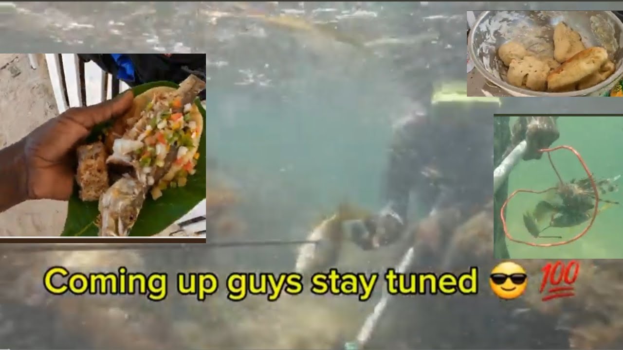 🇯🇲Epic link up 💎with @JamaicanSureFishing .spearfishing. bread 🍞 making snapper n snook cook up 💯🇯🇲