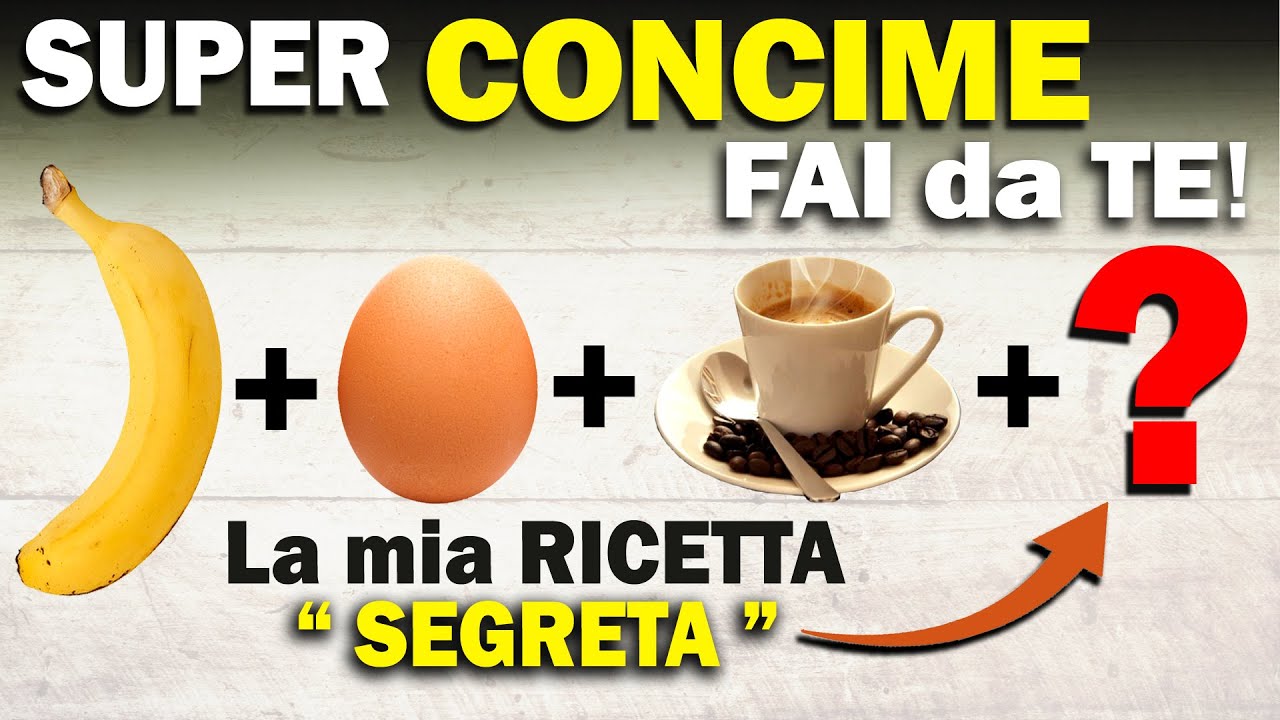 CONCIME FAI DA TE |Super FERTILIZZANTE per ORTO, PIANTE, FIORI