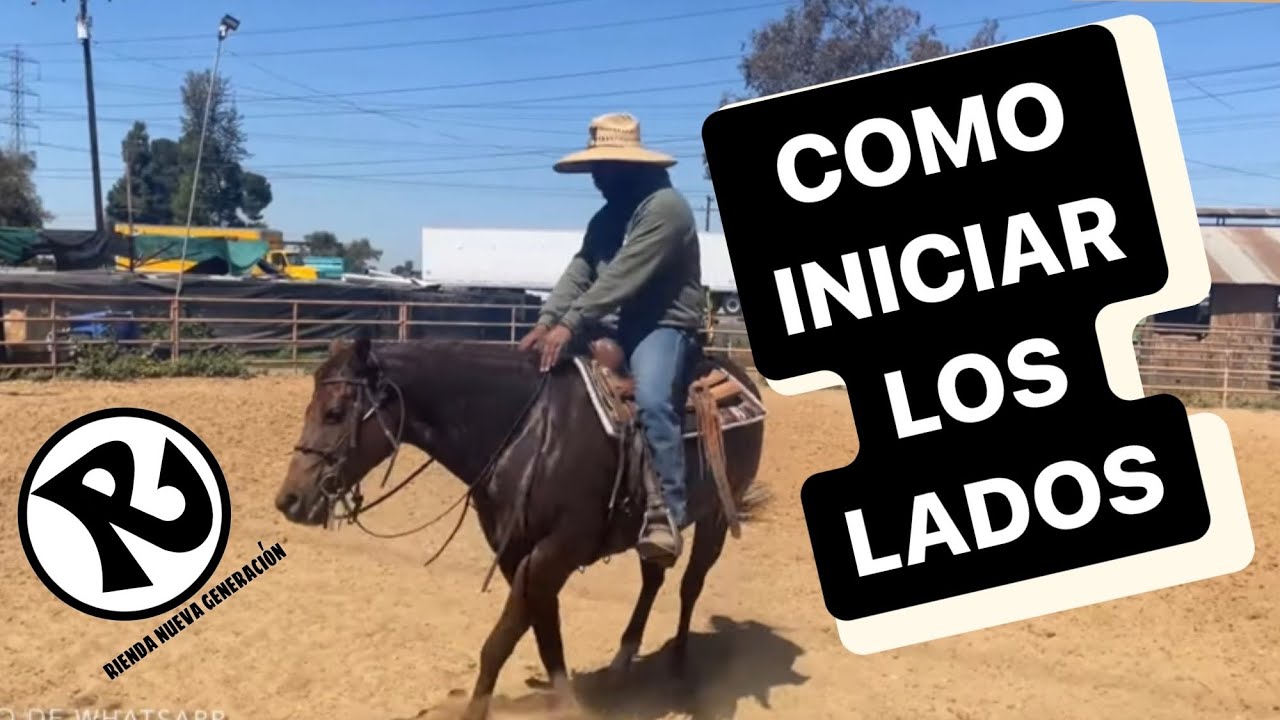 Como enseñar a tu caballo a dar lados (inicios de lados)