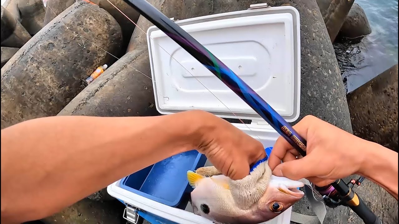 試試比雙勾還不會纏線的雙勾~台中港北堤Taichung Fishing Port Fishing