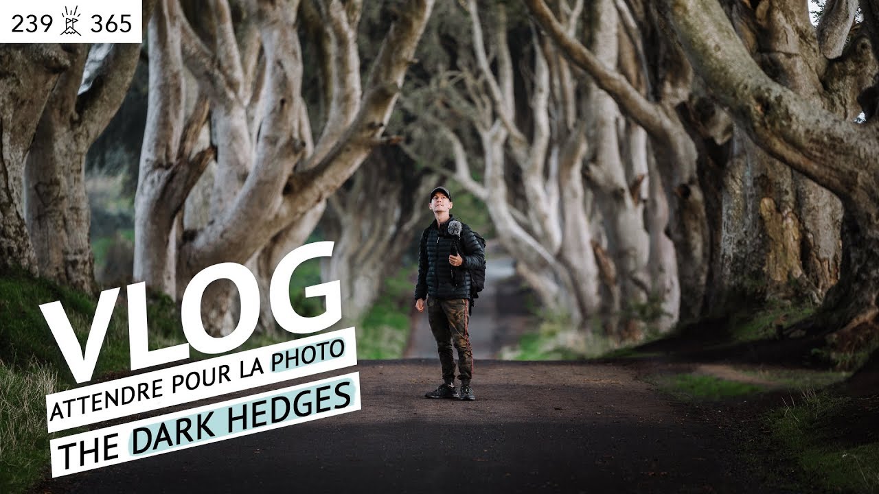 The DARK HEDGE en Irlande du Nord: on a ATTENDU 1 HEURE pour prendre une PHOTO! | Jour 239 de 365
