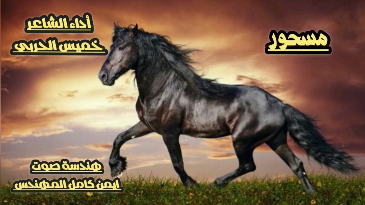 شيله مسحور كلمات وأداء الشاعر خميس الحربي هندسة صوت وتوزيع ايمن كامل المهندس ( حصريا )