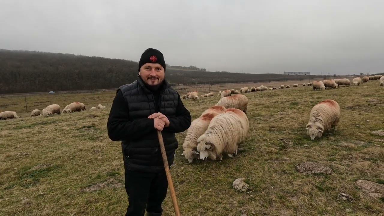 Oile Părintelui Danut din Ardan .BN-Păstorițe de Emilian  Talpes -Ciobanul Modern 
