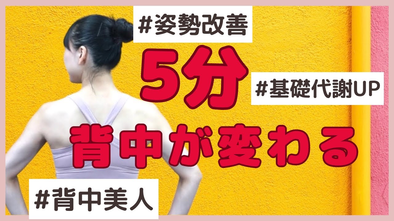 【背中トレーニング②】綺麗な背中を作る！パート②
