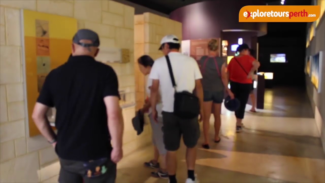 Explore Tours Perth | Pinnacles, Swan Valley & Wildlife Tour | Experience OZ