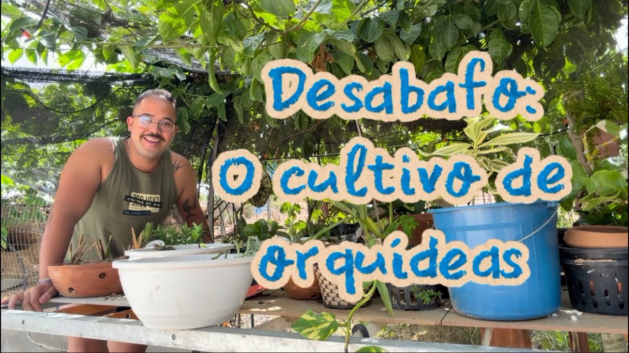 UM PEDIDO DE AJUDA E INCENTIVO COM AS ORQUÍDEAS
