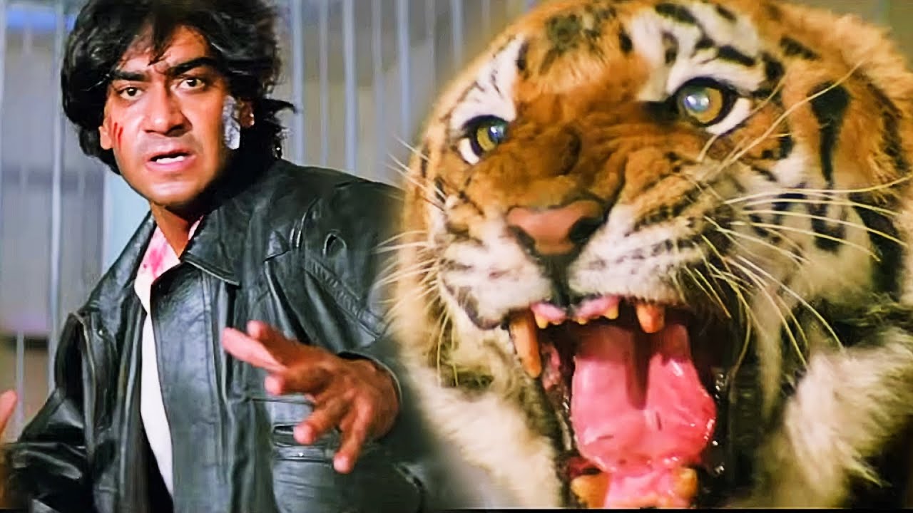 CLIMAX - अजय देवगन भिड़े असली शेर से  | Vijaypath | Ajay Devgn vs Tiger Action Scene