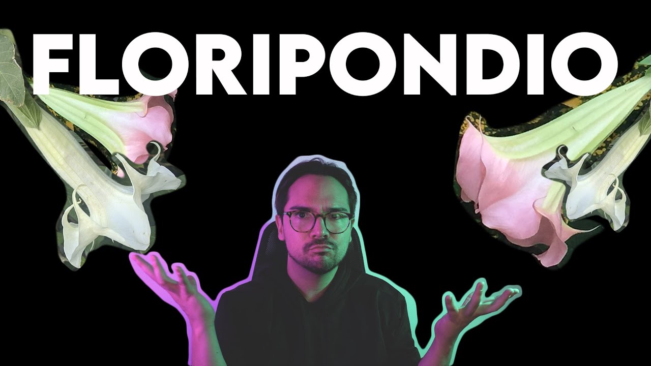¿Qué onda con el floripondio y la escopolamina?