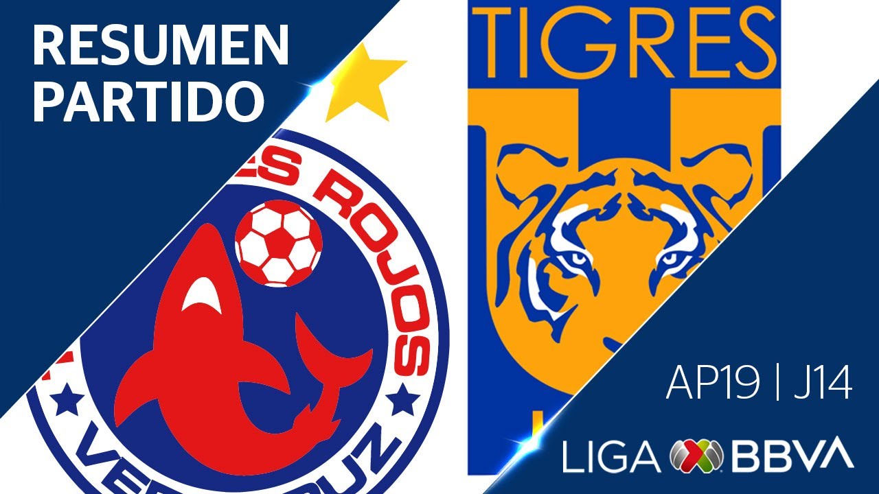 Resumen | Veracruz vs Tigres UANL | Jornada 14 - Apertura 2019  | Liga BBVA MX