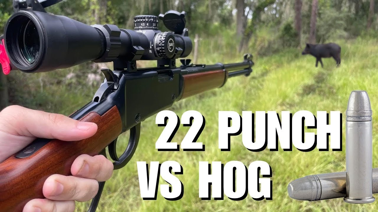 Инвазивная охота на кабана с .22 LR Federal Punch