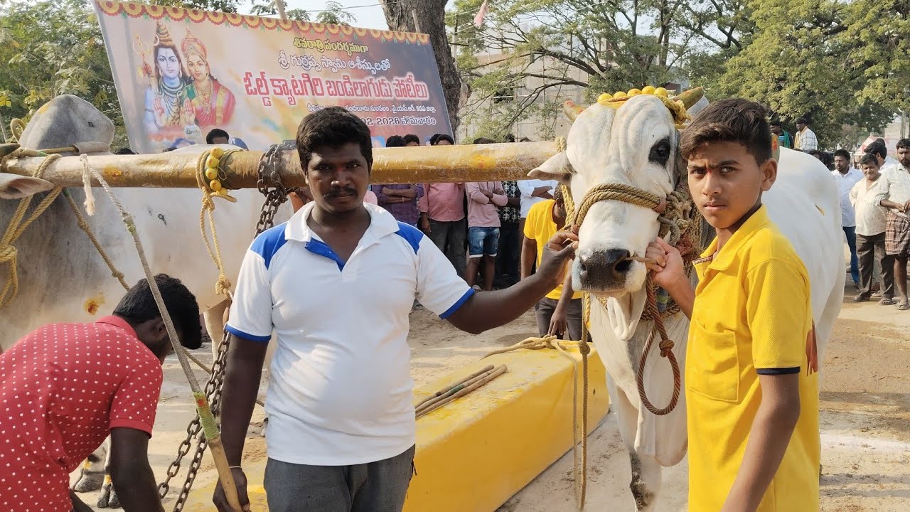 🚩9/2/26నీలిపల్లి ఓల్డ్ కేటగిరి 4 జత యాపమాన్ల శ్రీ ప్రణయ గారు బెడుదురు గ్రామం కడప జిల్లా 