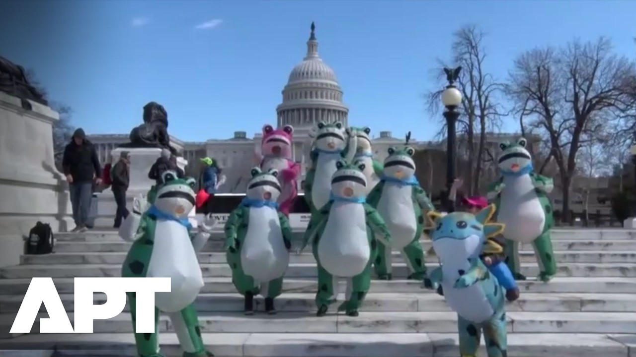 WATCH | Frog-Costumed Protesters Leap Into Action With Blunt Message Before Trump SOTU Address | APT
