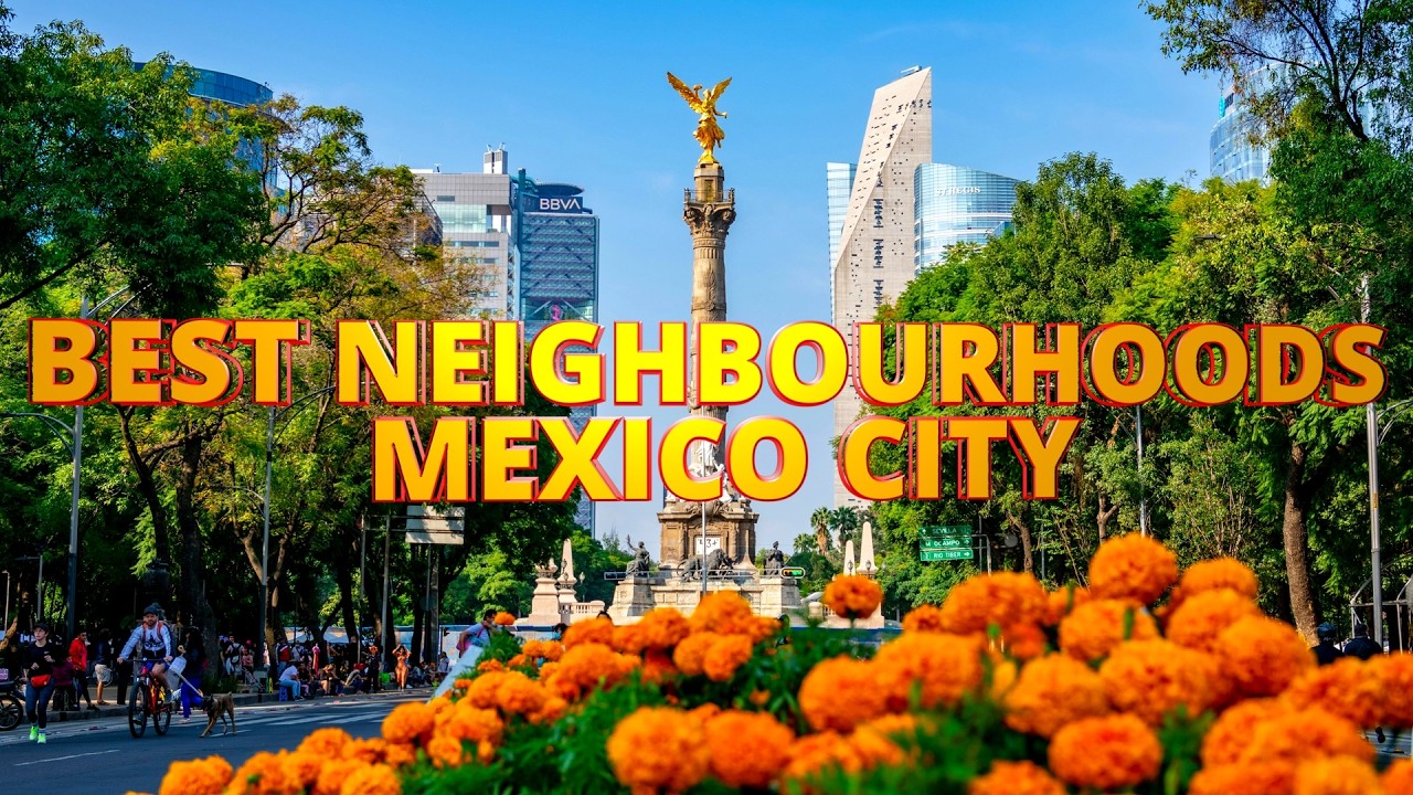 What Are The Best Neighbourhoods to Stay in Mexico City? Is Mexico City Safe?
