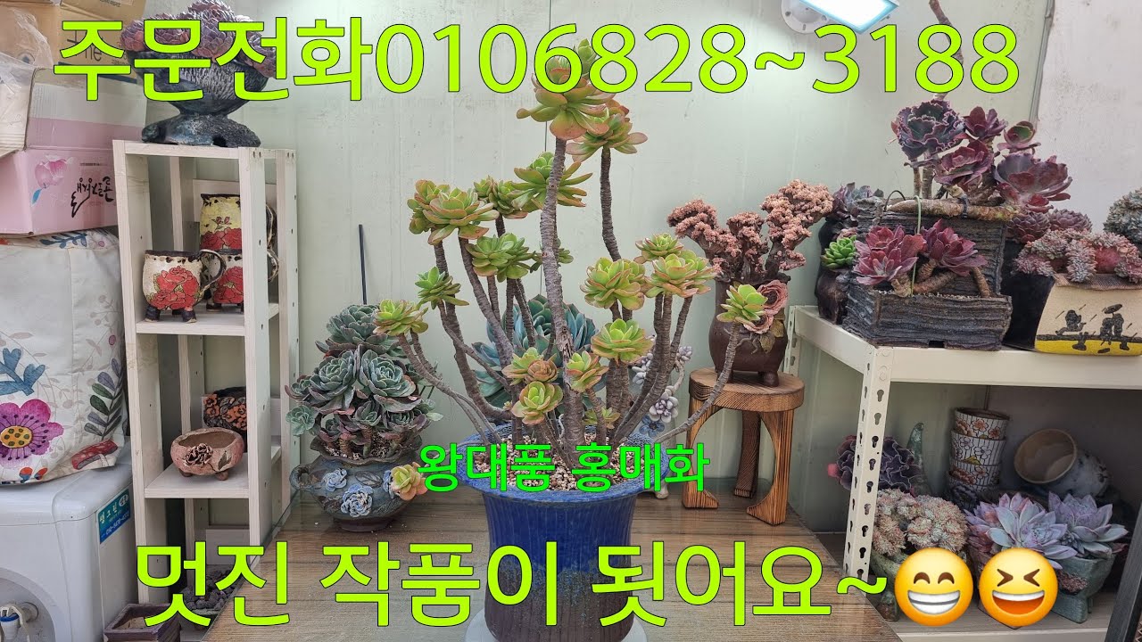 (26.3.4.수)힐링하세요~😁😆