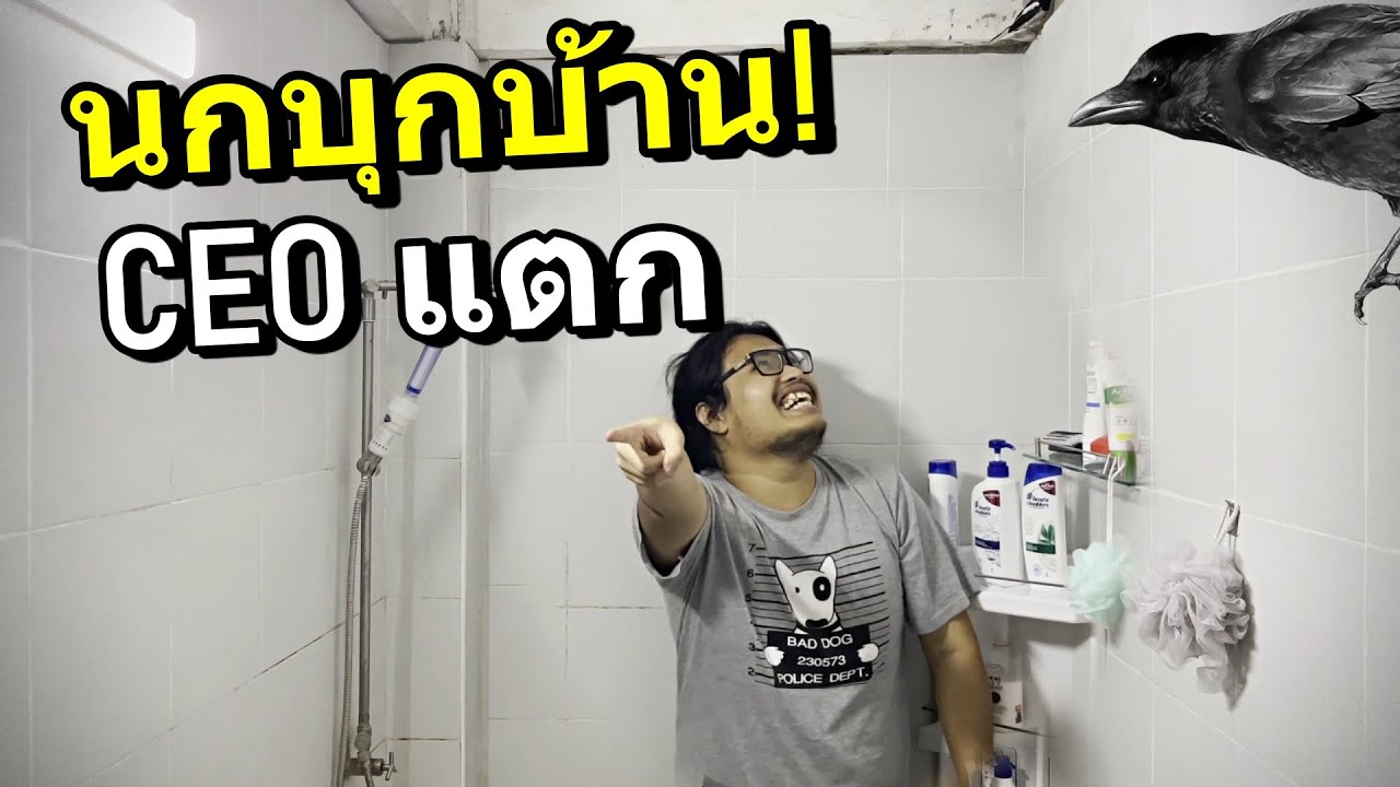 นกขยะตัวเดียว ทำบ้านขยะ CEO พังพินาศ