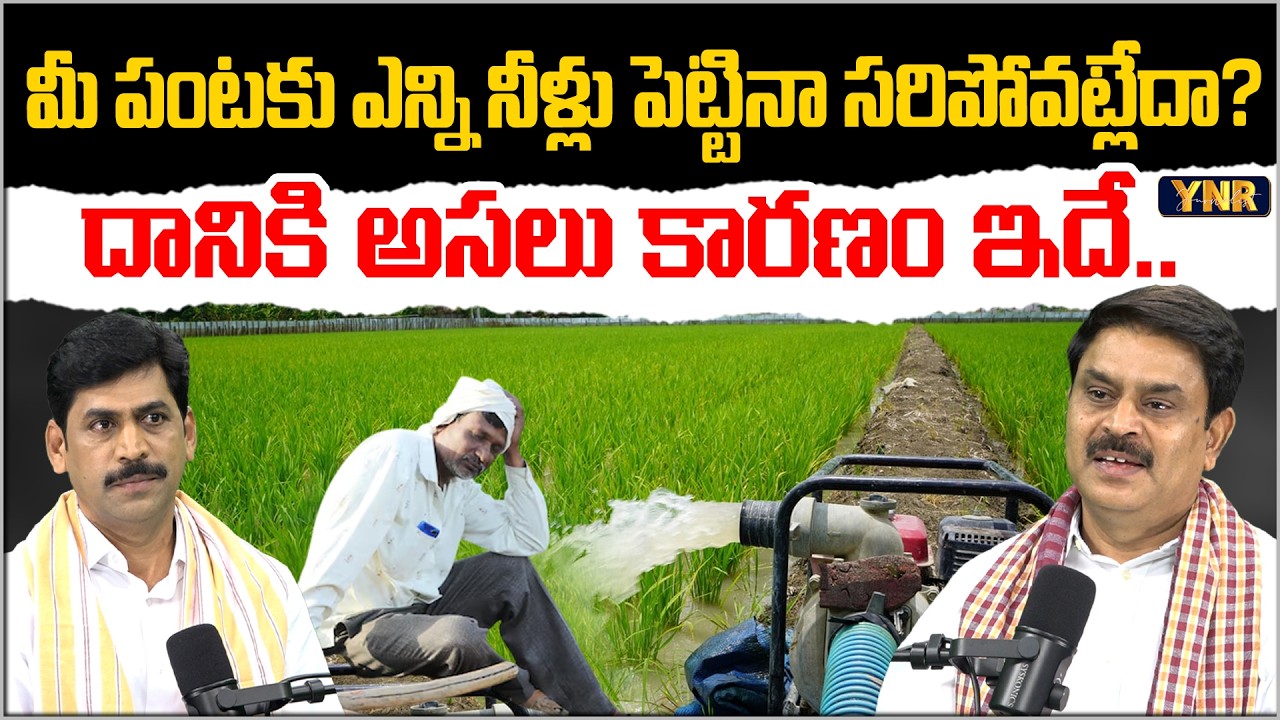 Irrigation Mistakes Done By Farmer | Prathibha Biotech MD Rajasekhar Reddy | Journalist YNR