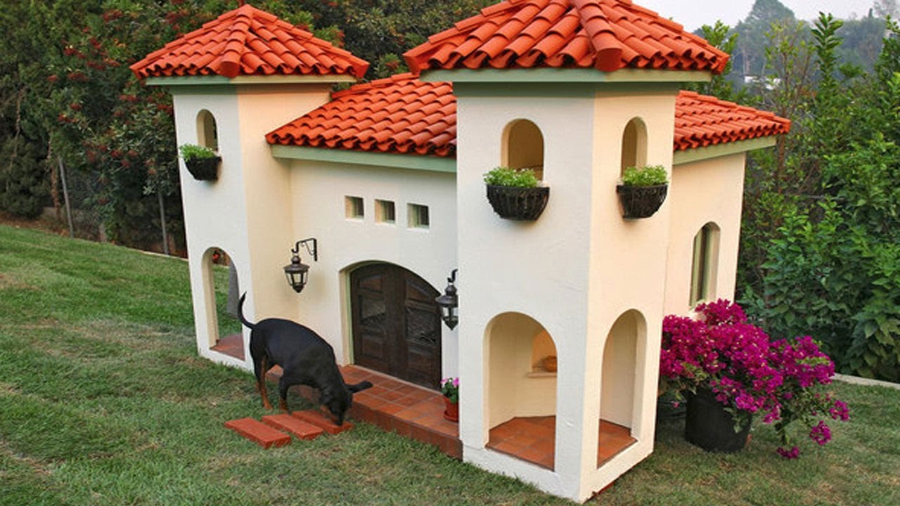 7 Casas Lujosas Para PERROS