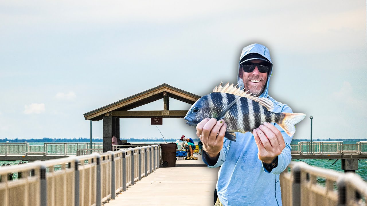 First Time Fishing This Tampa Bay Pier & It Was Loaded With Fish!