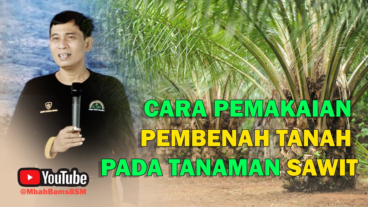 #A3 BOS SAWIT SUDAH MULAI BERALIH PAKAI INI #bayudiningrat #bayusehatmandiri #pertanian