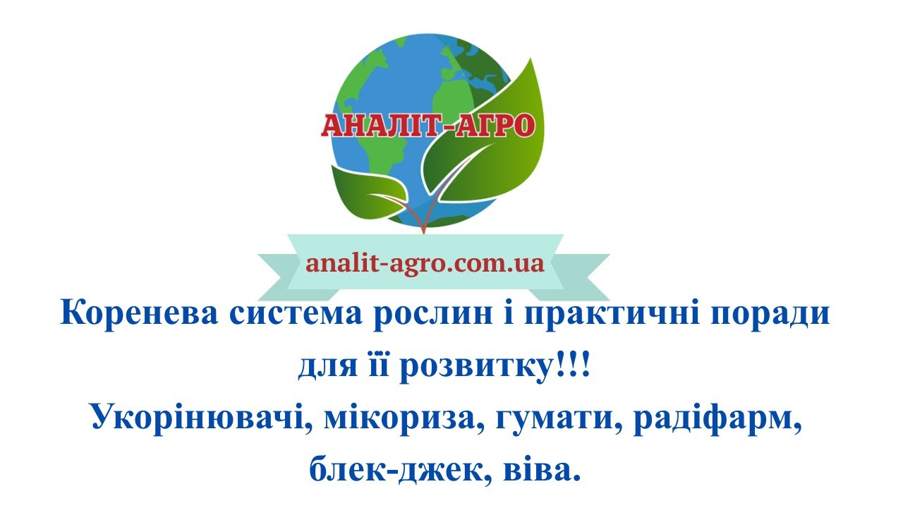 Укорінювачі і реаніматори грунту.Коренева система рослин і практичні поради для її розвитку!!!