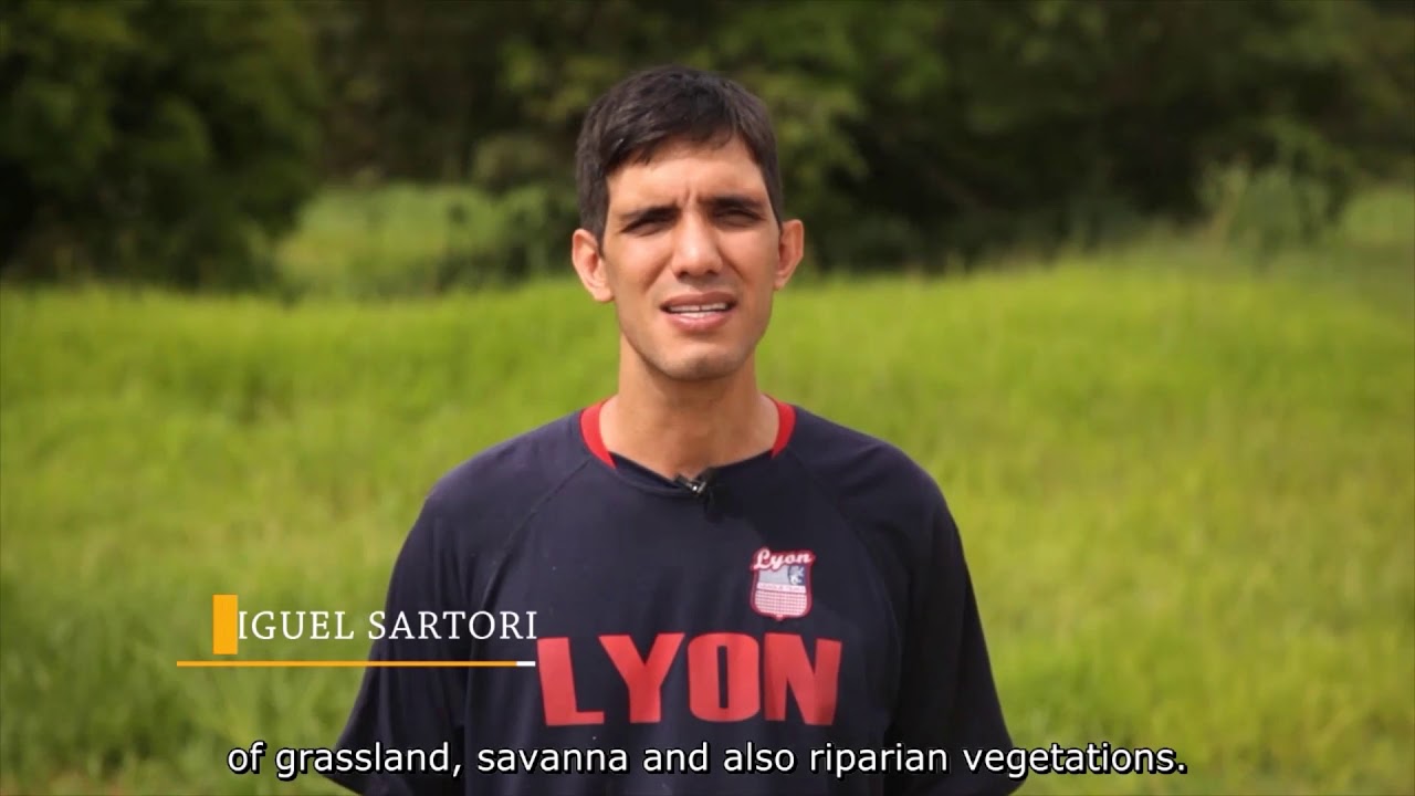 SEMEADURA DIRETA NO CERRADO | subtitle in english