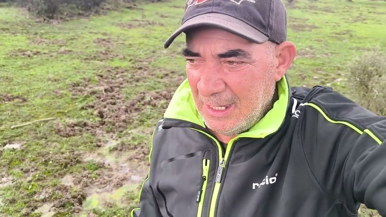 El fin del mundo rural,y el final del linaje de quinto