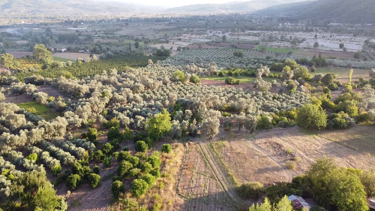 Havadan Muğla Paşalı K&ouml;y&uuml;