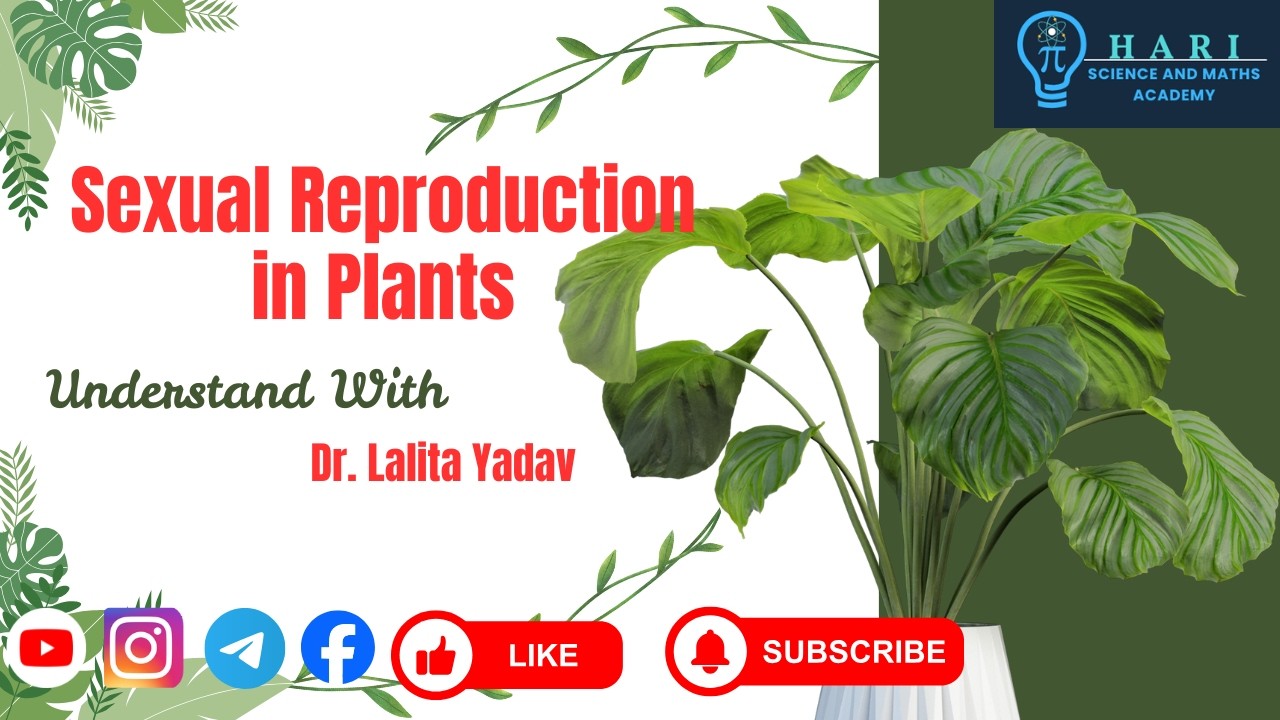 Chapter 7 (Biology) - Reproduction in Plants ( Part 2)