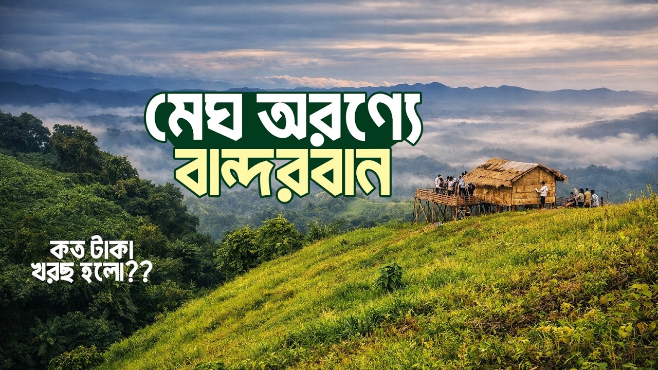 বাংলাদেশের পাহাড়ি সৌন্দর্যের এক অনন্য রূপ || বান্দরবানের মেঘের অরণ্যে || Bandarban🇧🇩