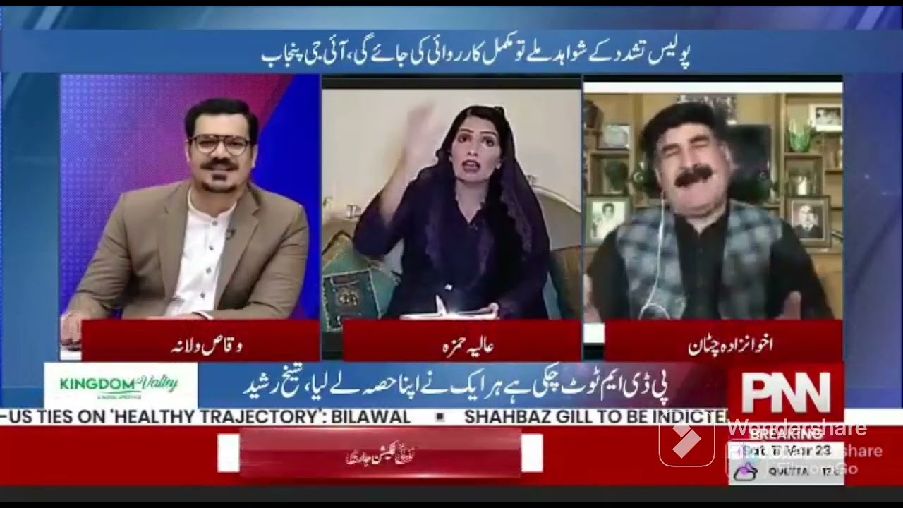 Aliya Hamza Malik on PNN News