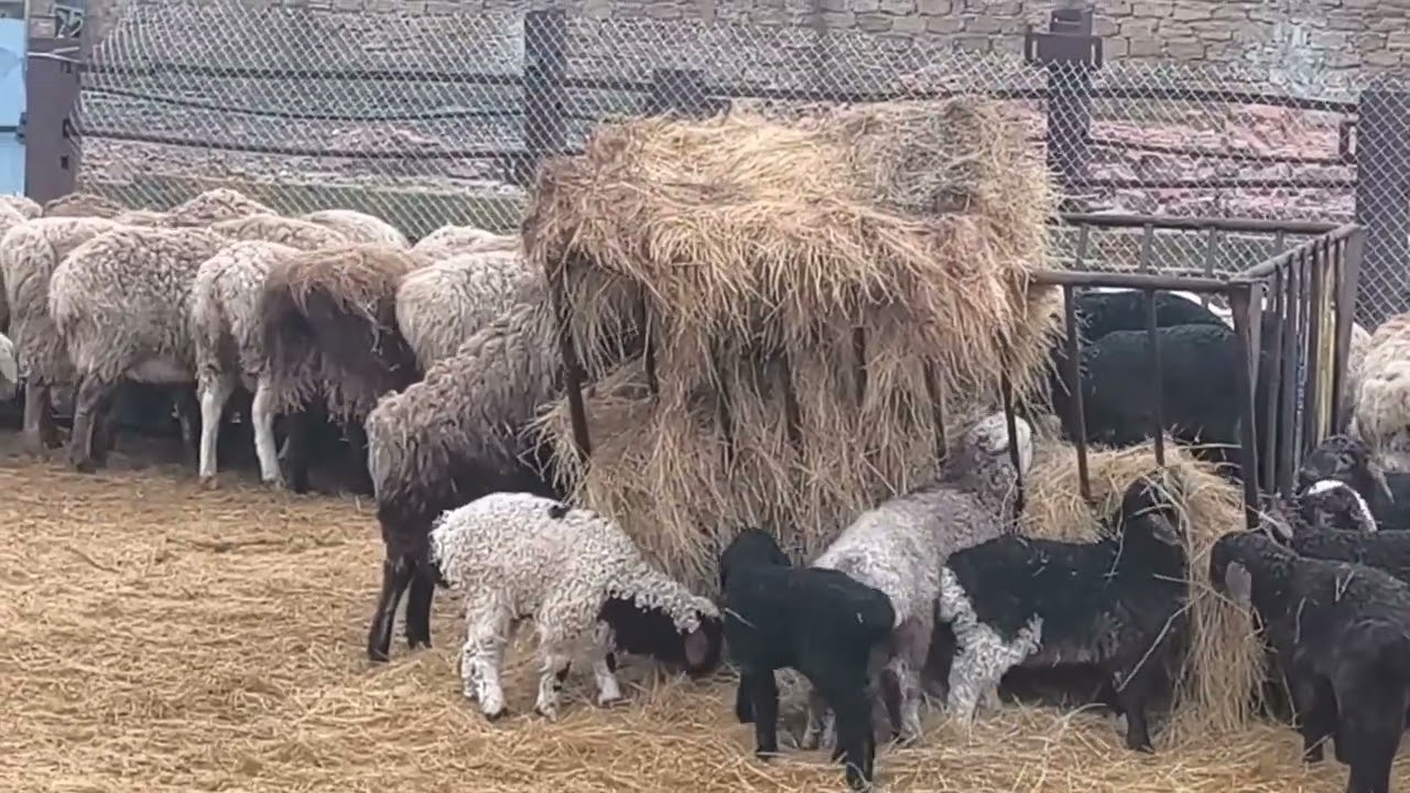 Всё таит, расквасило везде 😊