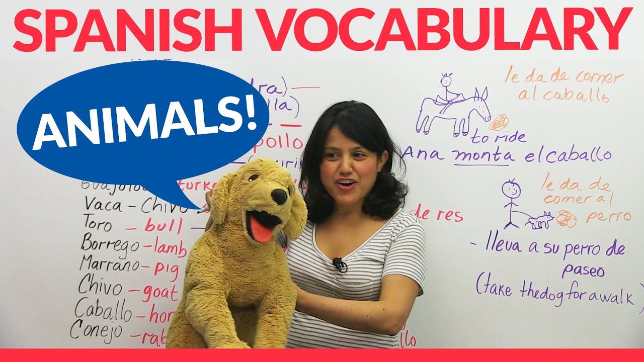 Learn Animal Vocabulary in Spanish!