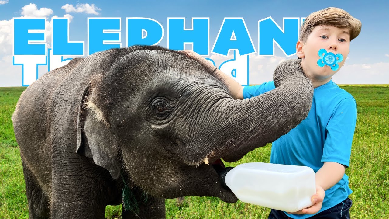 MJ The Kid&rsquo;s Incredible Day with an Adorable Baby Elephant!